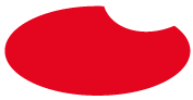 provnovelties_logotipo