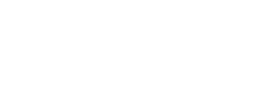 logo light